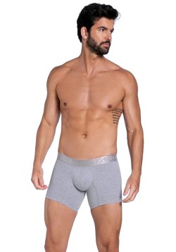 BOXER 18551